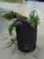 Eldningstunna 200 liter stora lock Fina