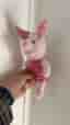 Disney gosedjur Nasse rosa