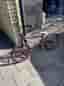 Bmx subrosa