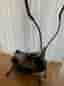 Orbitrek Platinum crosstrainer