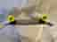Skateboard plast 56 cm svart med gula hjul