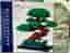 Nanoblock Bonsai Pine Deluxe Edition (NB-039) — Helt ny, oöppnad