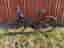 Specialized VITA Sport, Small, nyservad, fint skick, kvinna