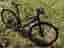 Specialized VITA Sport, Small, nyservad, fint skick, kvinna
