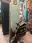 abilica quickrower roddmaskin