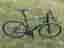 Focus Arriba strl M