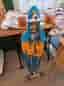 Longboard