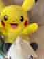 Pokémon gosedjur Pikachu Sobble Pancham blandade färger