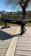 Träningsbänk Master Fitness Flat Bench Gold III