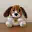 Interaktiv babyleksak, Vtech Baby Speak & Learn Puppy