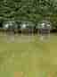 Parisienne stol (transparent)
