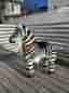 PonyCykle zebra