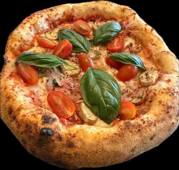 Elektrisk pizzaugn (Bright) – Uppgraderad med äkta italiensk Biscottosten