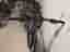 Scott Aspect 950 Mountainbike