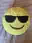 Smiley kuddar + gosedjur