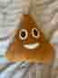 Smiley kuddar + gosedjur