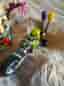 LEGO ANGRY BIRDS Bird Island Egg Heist