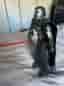 LEGO Star Wars Kylo Ren
