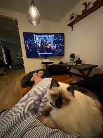 Sony 85" UHD LED Smart TV