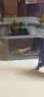 The Amazing Spider-Man lekset lekstad med byggnader och ramper