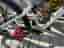 Specialized Era Expert Carbon 29 heldämpad/hardtail MTB M 29". S/M