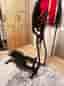 Epsilon crosstrainer svart