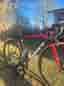 Argon 18 gallium racer + Ultegra Di2 + Enve ses 4.5