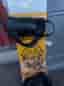 Signal snowboard I bra skick
