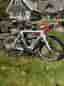 PINARELLO DOGMA