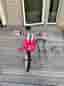 Barncykel 16 tum- front basket, side wheels and handle bar for training