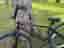 26'' Cruiser BMX