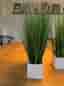 Konstgjorda gräsplantor i vita krukor