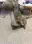 IKEA gosedjur dinosaurier