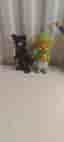 Bamse & Pippi små figurer – 4 st retro (