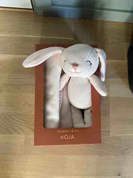 Koja Rabbit and Blanket