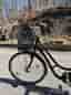 Ideal Bikes