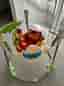 Fisher-Price hoppgunga Jumperoo