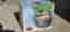 Kitchen Gear slow cooker svart