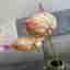 Anthurium Rosenkalla Konstgjord Plast Blomma 65 cm