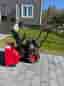 Metalcraft snöslunga Loncin 196cc bensin