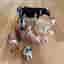 Schleich djurfigurer lot – ko, get, lamm, sälunge m.m. – nyskick
