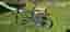 Cannondale mountainbike 29" stl L