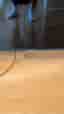 Samsung TV 55 tum svart