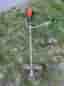Tanaka TBC-250ID grästrimmer bensin