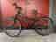 Kross Lea JR 1.0 Juniorcykel 24 tum