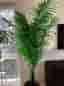 Konstgjord Palm 180cm