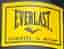 Boxsäck och boxhandskar Everlast
