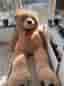 210 nalle