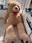 210 nalle