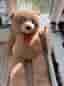 210 nalle